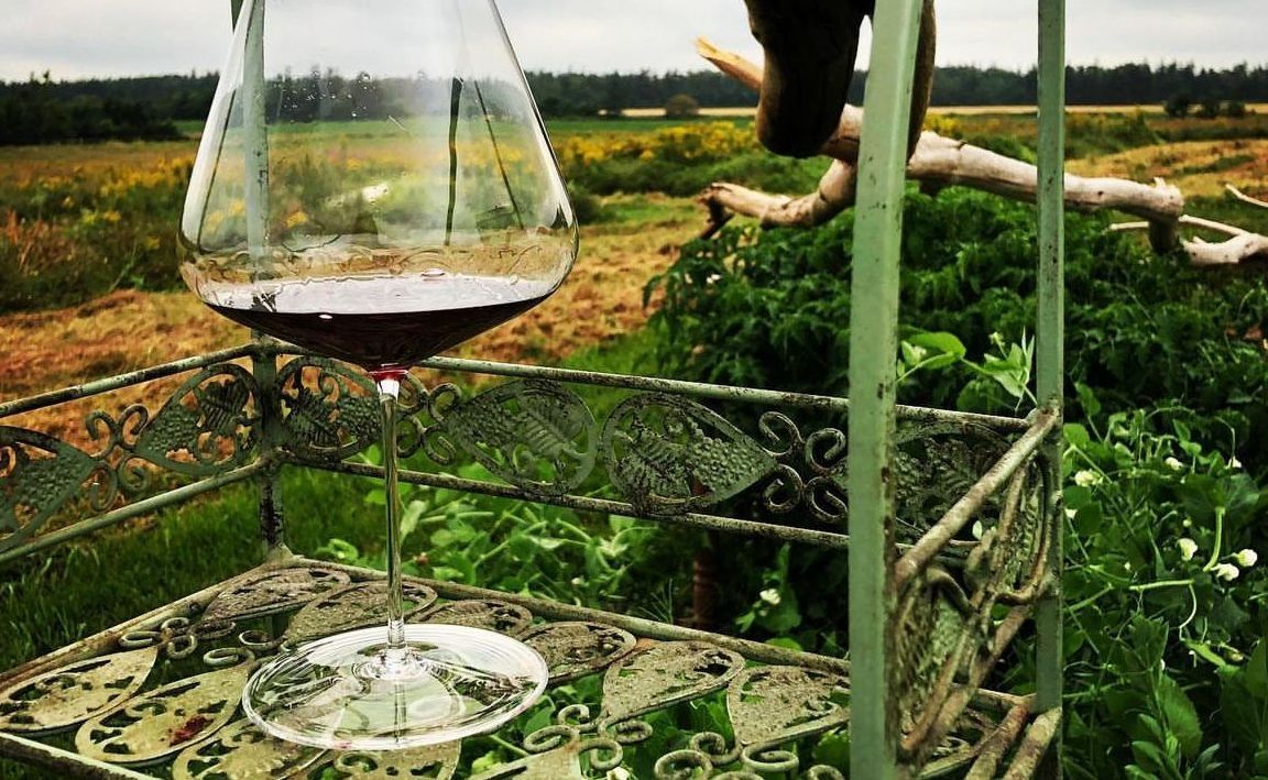 Wine glass on a decorative metal shelf outdoors, filled with red wine, field in background.