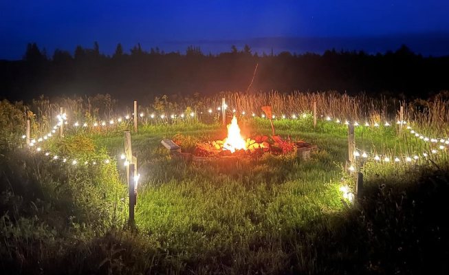 Campfire ring with string lights at night.