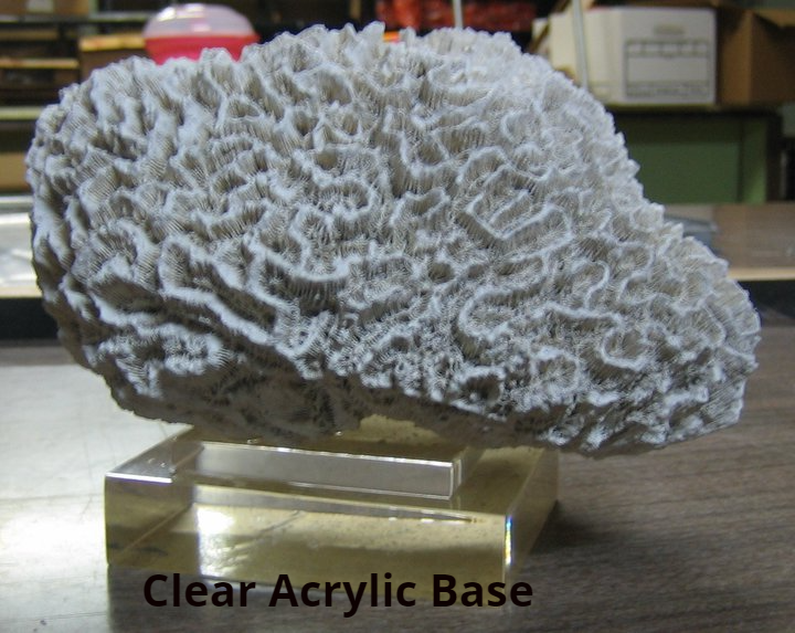 Fiber Glass Base — San Antonio, TX — Plastic Supply of San Antonio