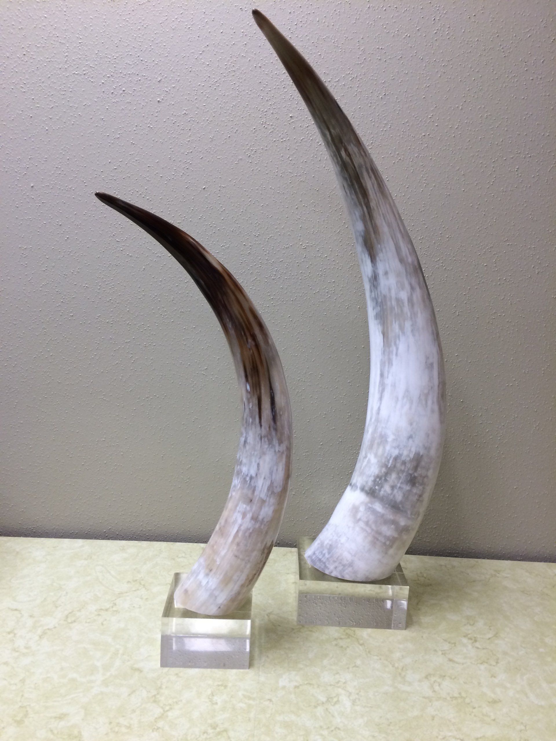 Base for Ankola Horns — San Antonio, TX — Plastic Supply of San Antonio