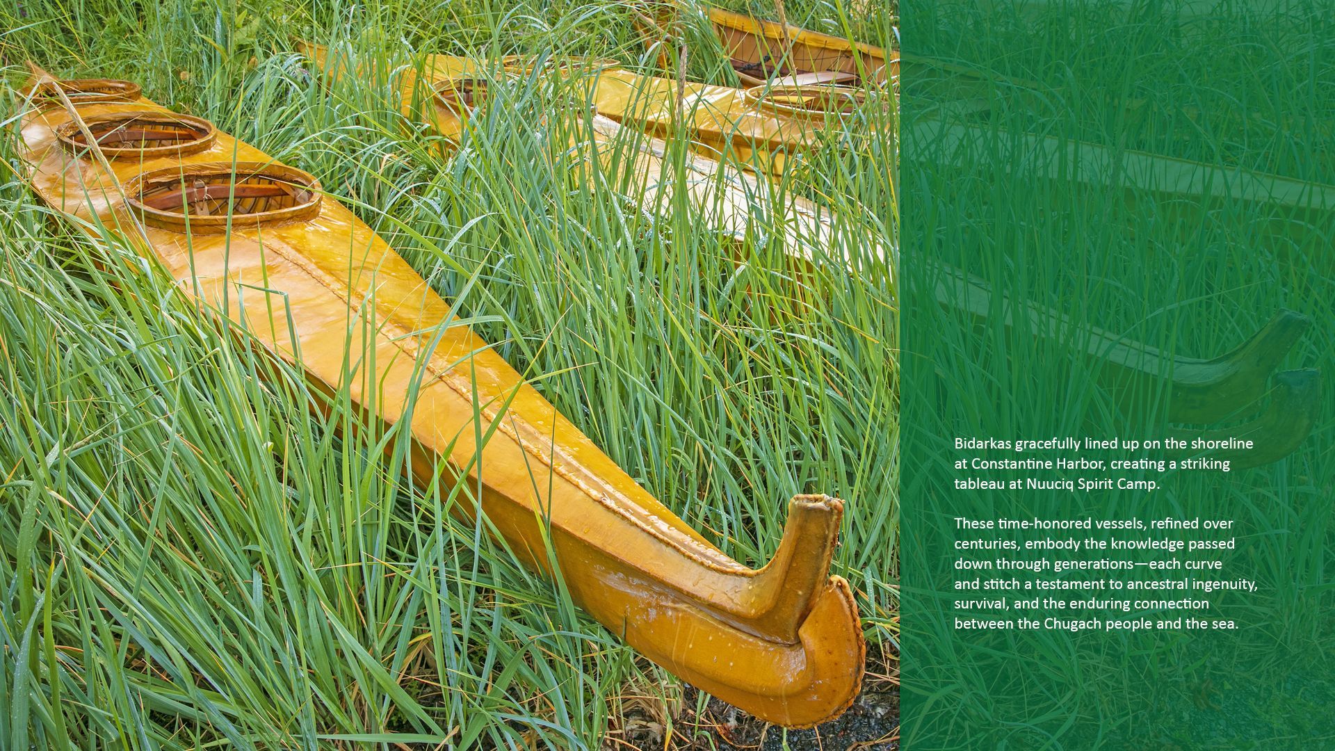Yellow wooden boat parts in tall green grass.