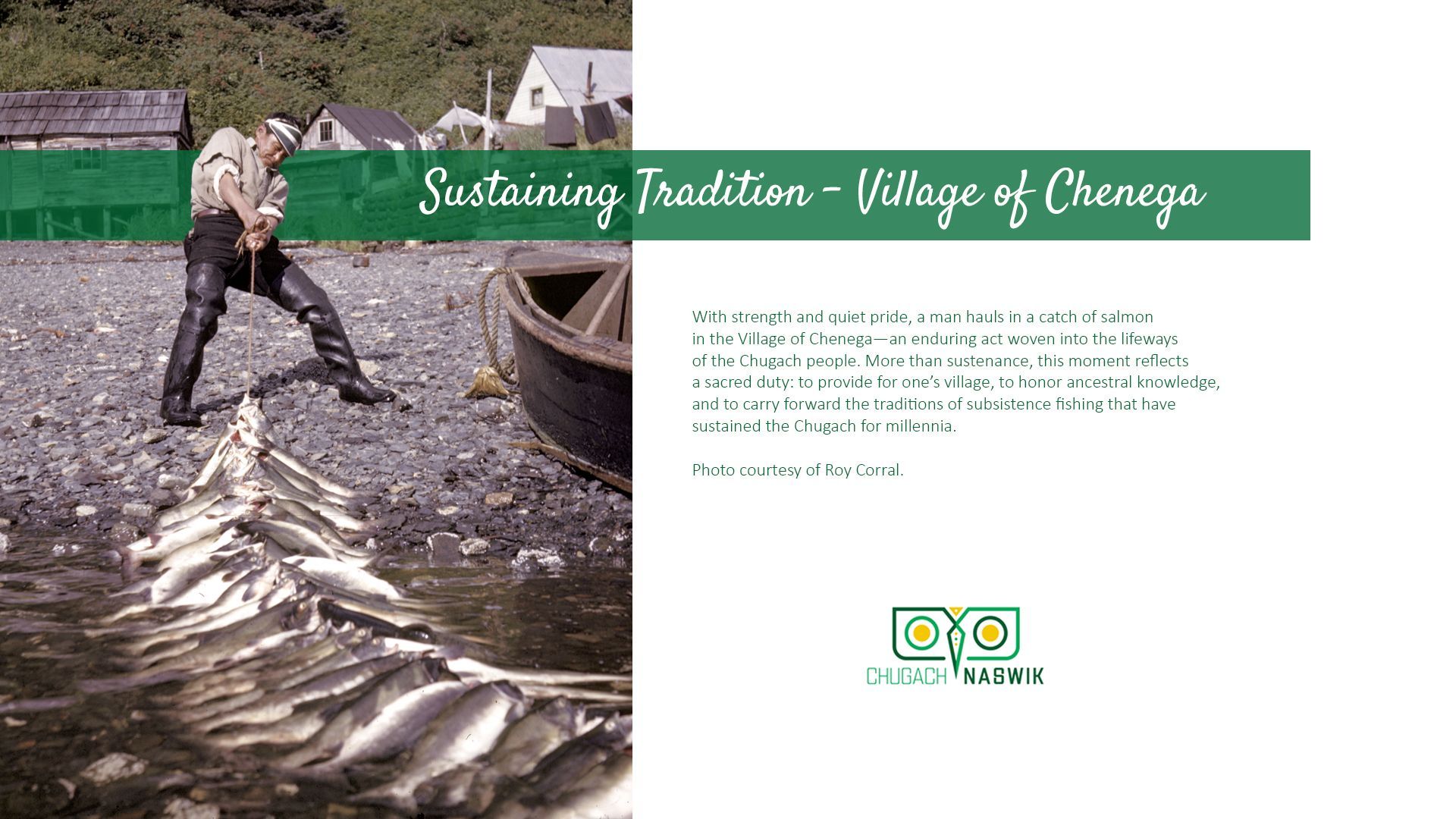 Man on shore hauling fish into a row, boat nearby. Title: Sustaining Traditions - Village of Cleaze.