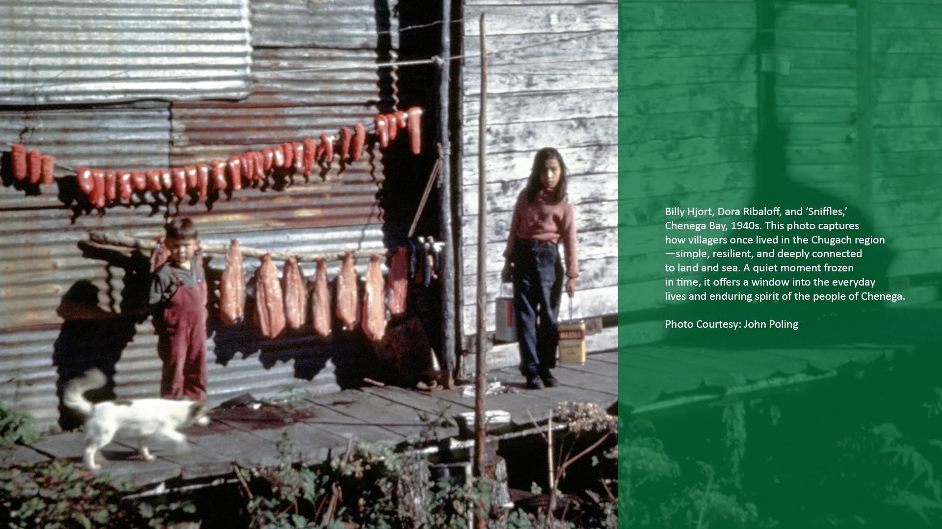Children tending to hanging salmon, a white dog runs by.