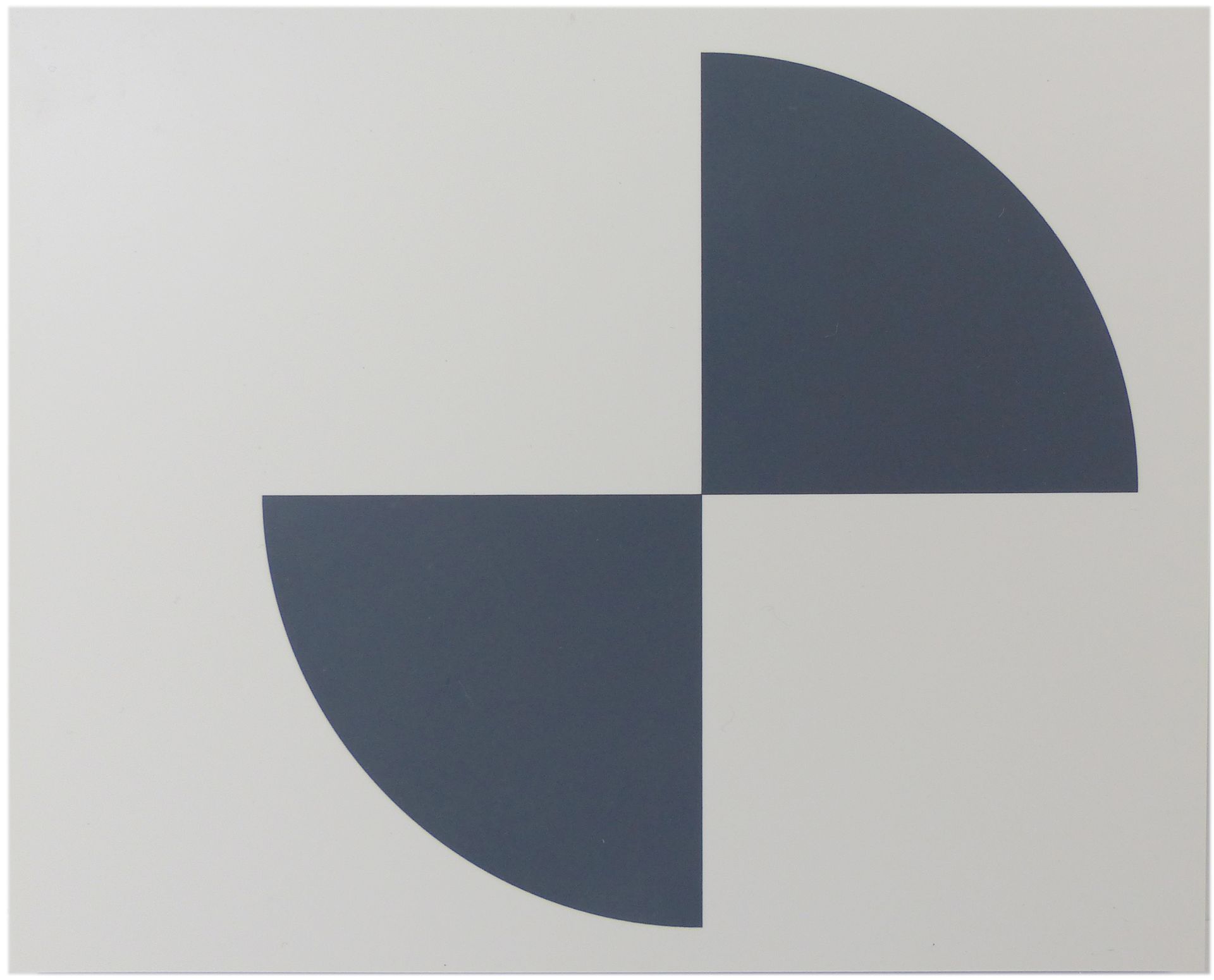 A blue and white circle on a white background