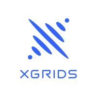 The logo for xgrids is a blue x with dots on it.
