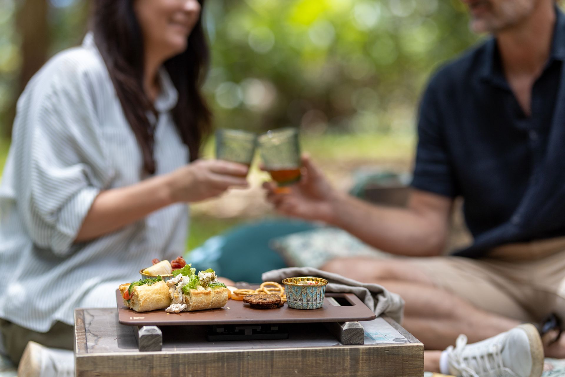 picnic tamborine