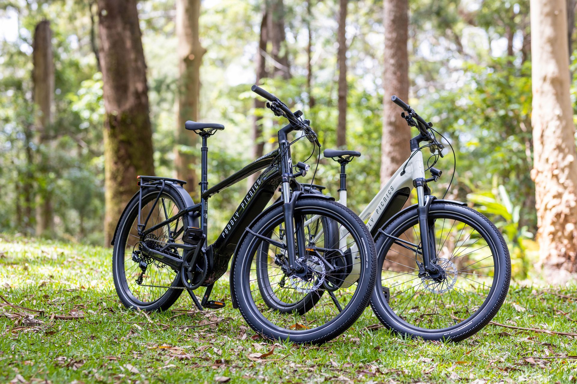 mt tamborine mountain bike trails