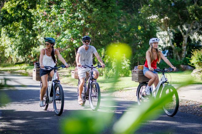 Tamborine Mountain Day Trip