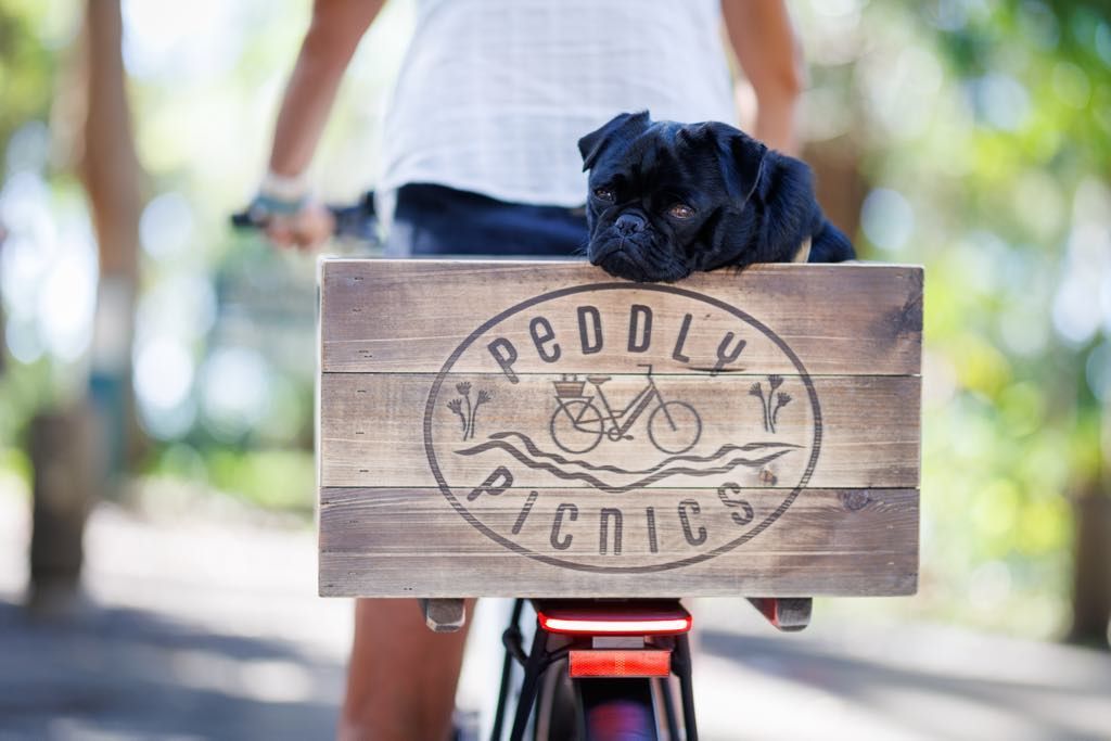pet friendly mt tamborine