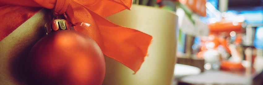 Red ornament with orange ribbon hanging on a Christmas tree branch