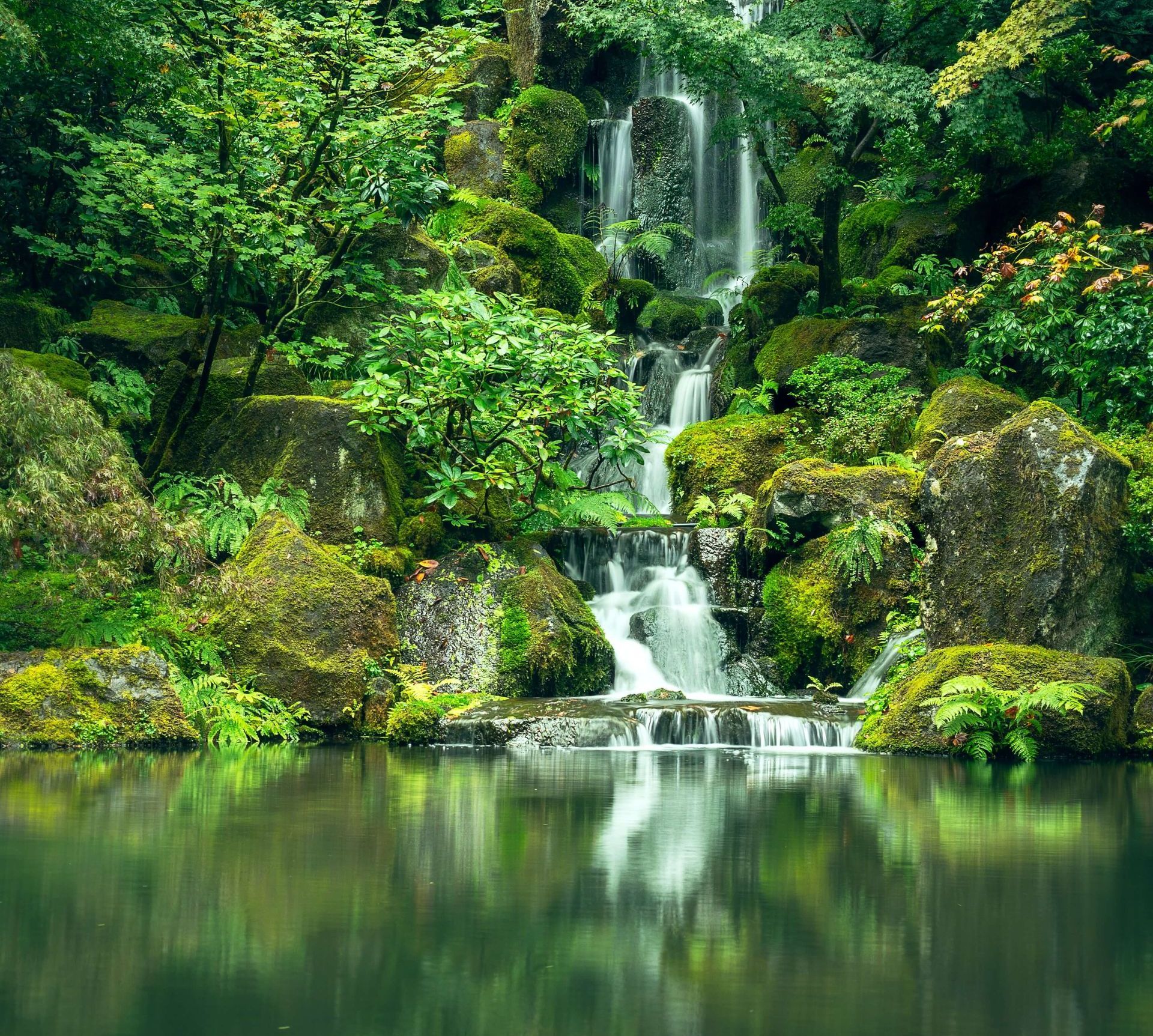 Waterfall cascading into a pond, surrounded by green foliage and moss-covered rocks. 4 lessons to learn from water.