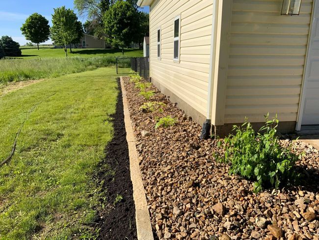 Stone path in a lawn between two curved black mulch beds with gray edging