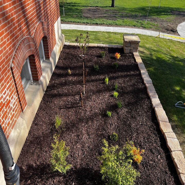 Mulched garden bed beside a brick house, with small newly planted shrubs and a central young tree