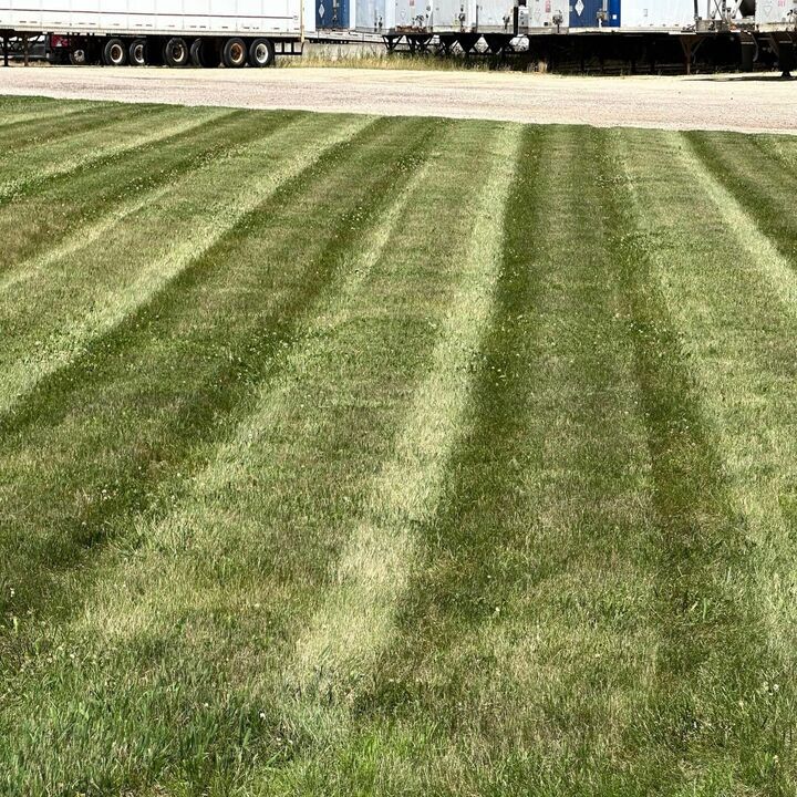 Freshly mowed green grass field with striped mowing patterns and trucks in the background