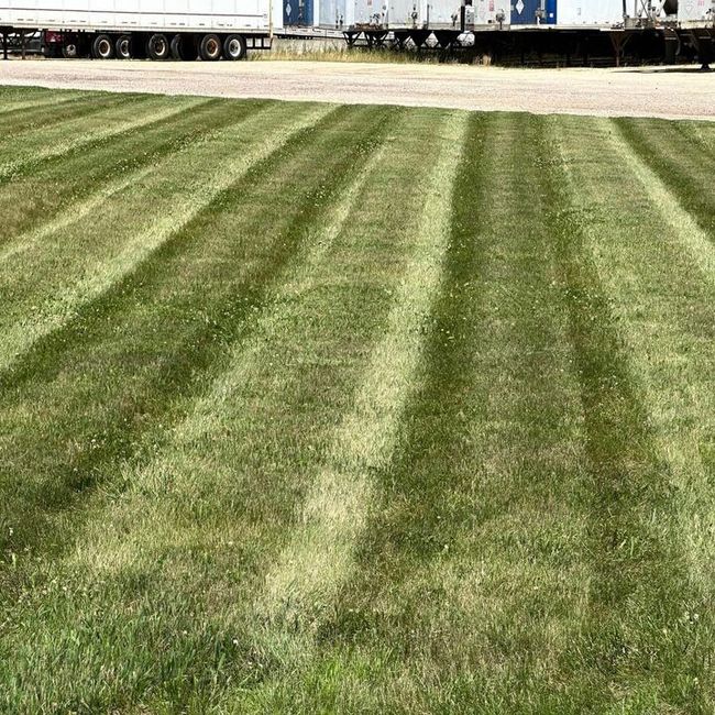 Freshly mowed green field with striped grass and parked semi-trailers in the background