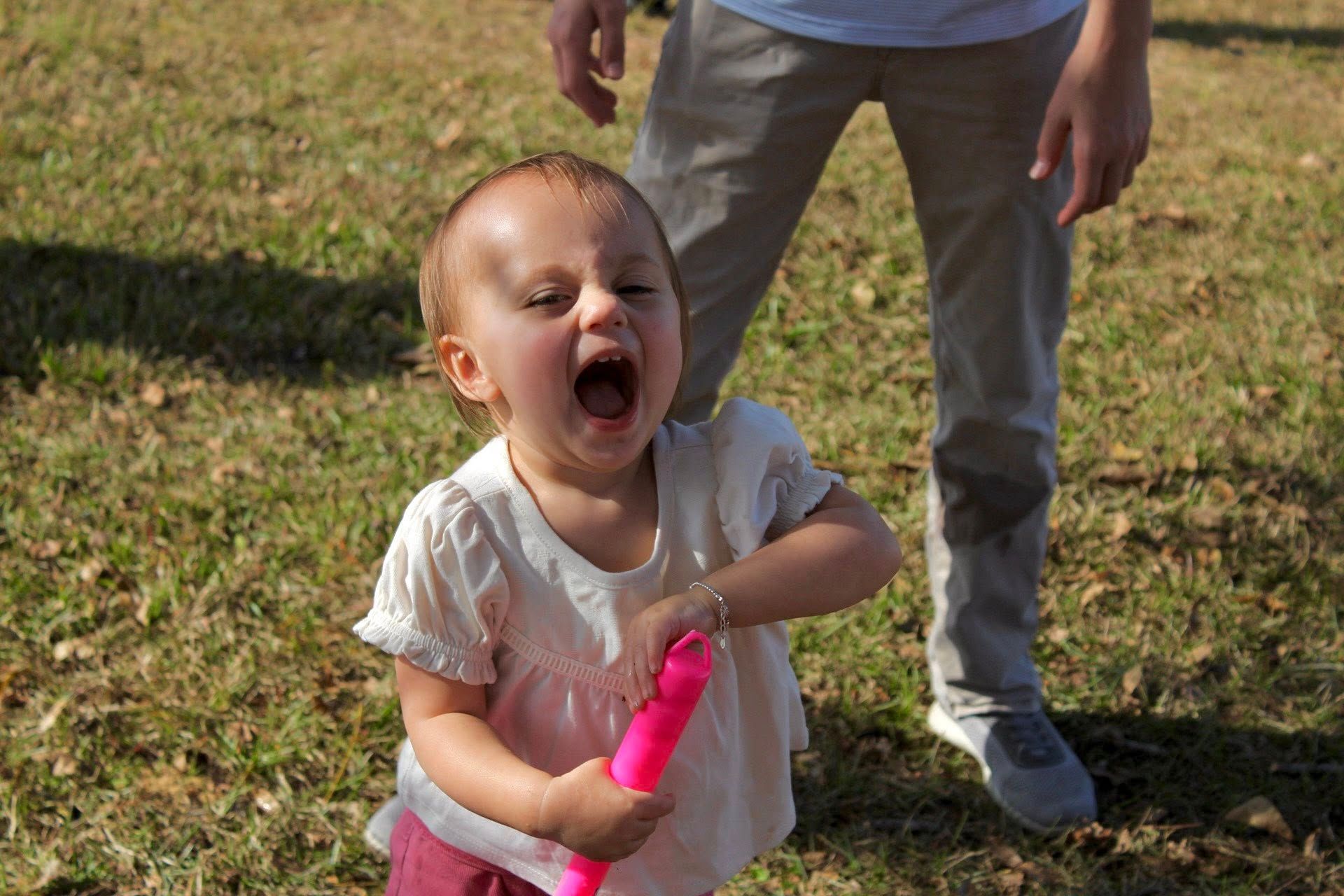 Family Fun day