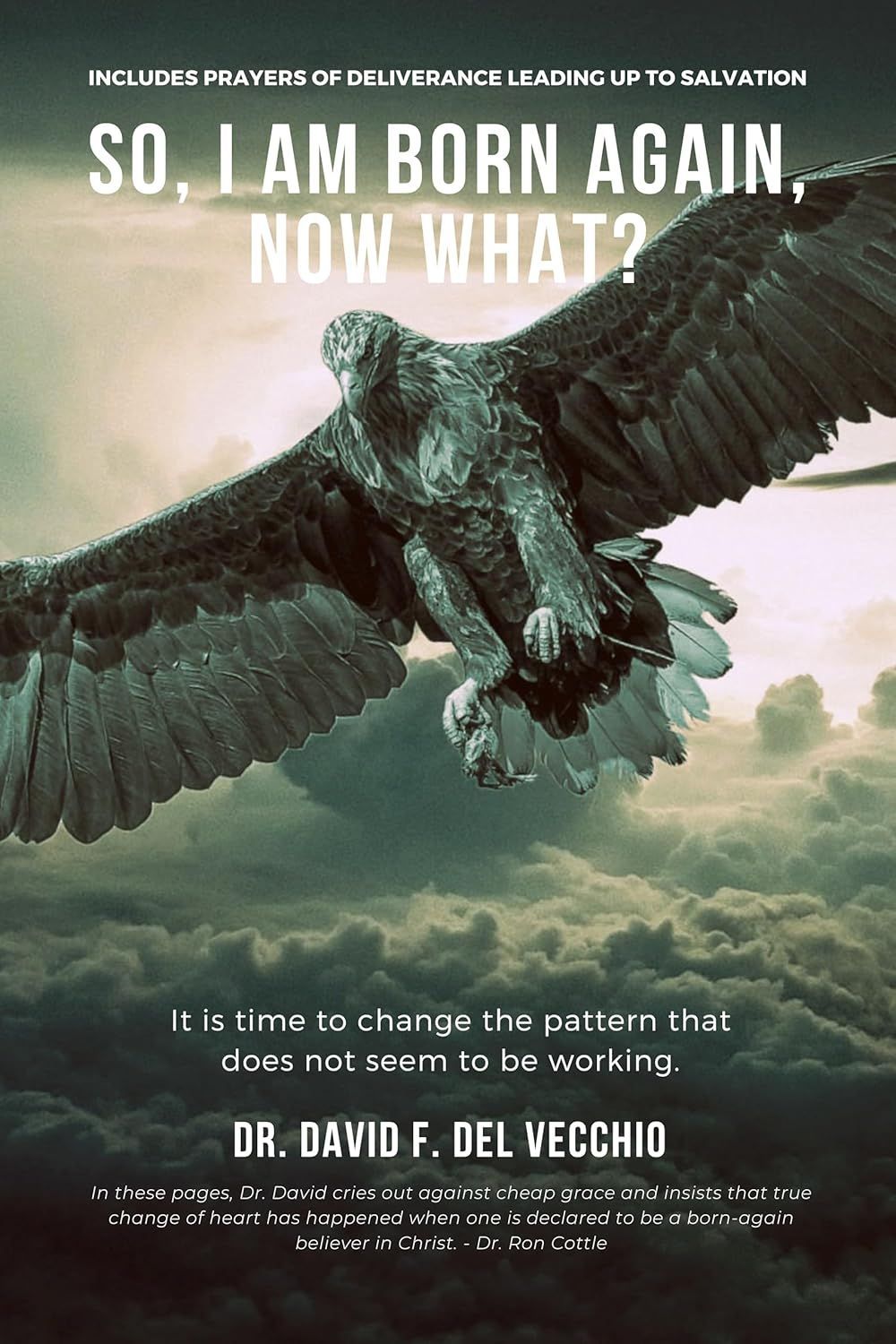 SO, I AM BORN AGAIN, NOW WHAT? DAVID DELVECCHIO