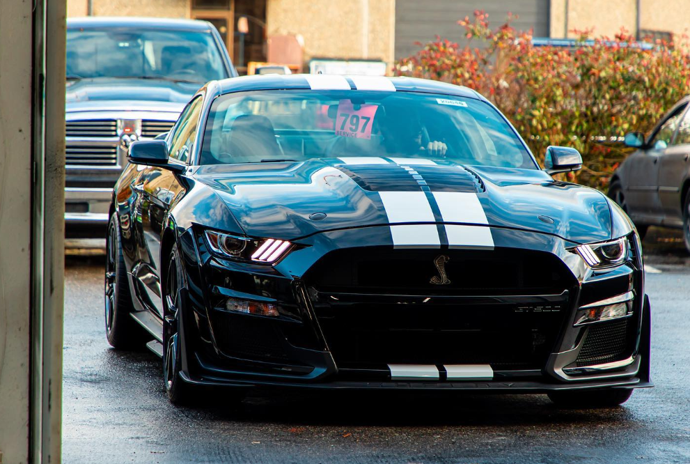 Black Shelby GT500 with white stripes parked outside, looking at the camera.