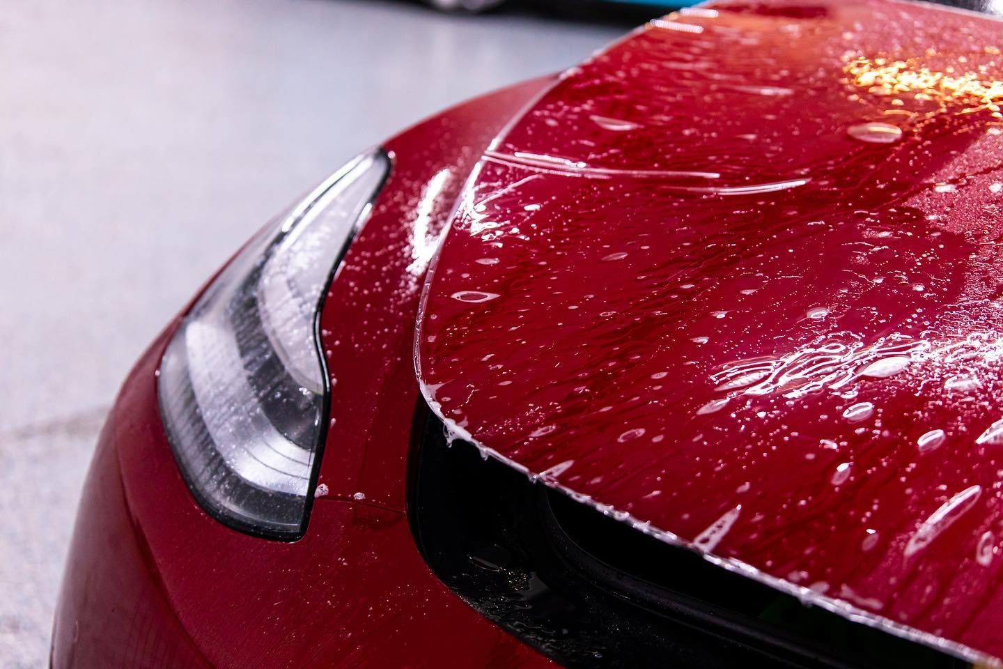 paint protection film process