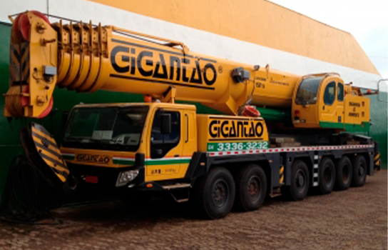 Guindaste do Gigantão de capacidade de 220 toneladas de içamento e remoção.