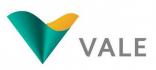 Um logotipo verde e amarelo com a palavra vale em um fundo branco.