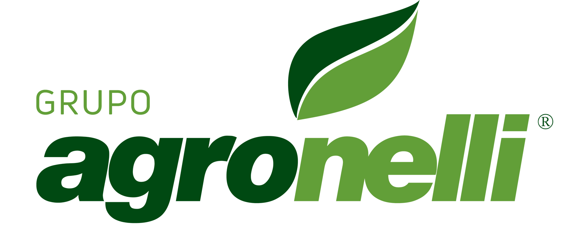 O logotipo do grupo agronelli tem uma folha verde