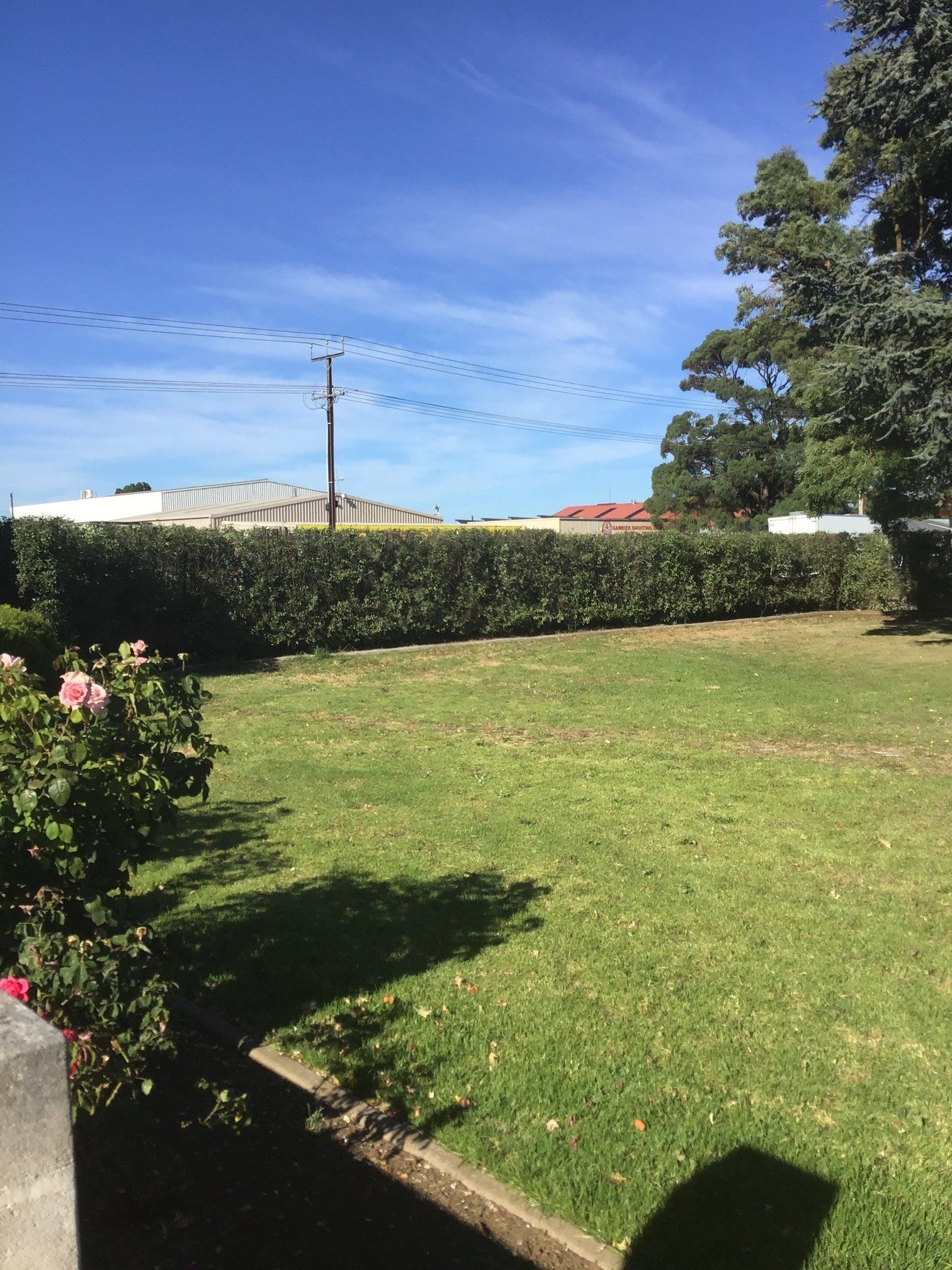 After Hedging — Mount Gambier, SA — Leroy’s SA