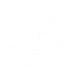 Garden Maintenance