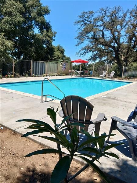 Swimming pool with blue water, surrounded by concrete, trees, and lounge chairs. Red umbrella in the background.