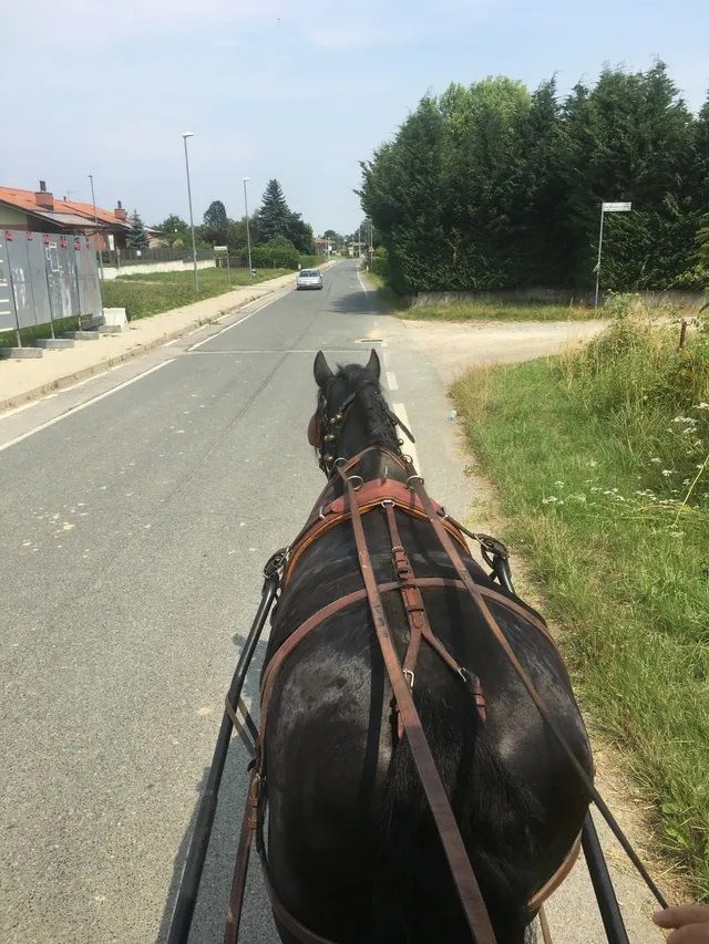 maneggio
