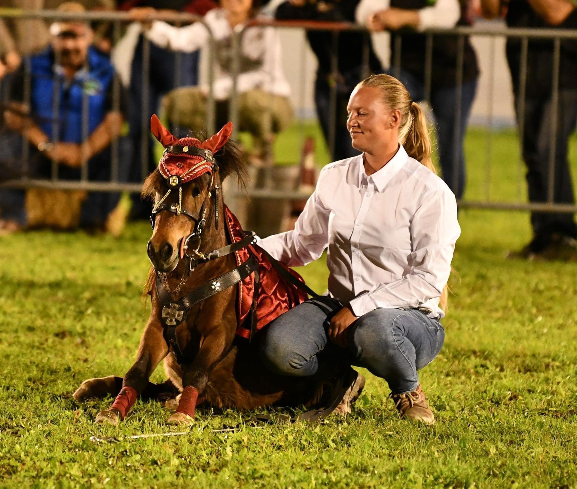 gara equestre