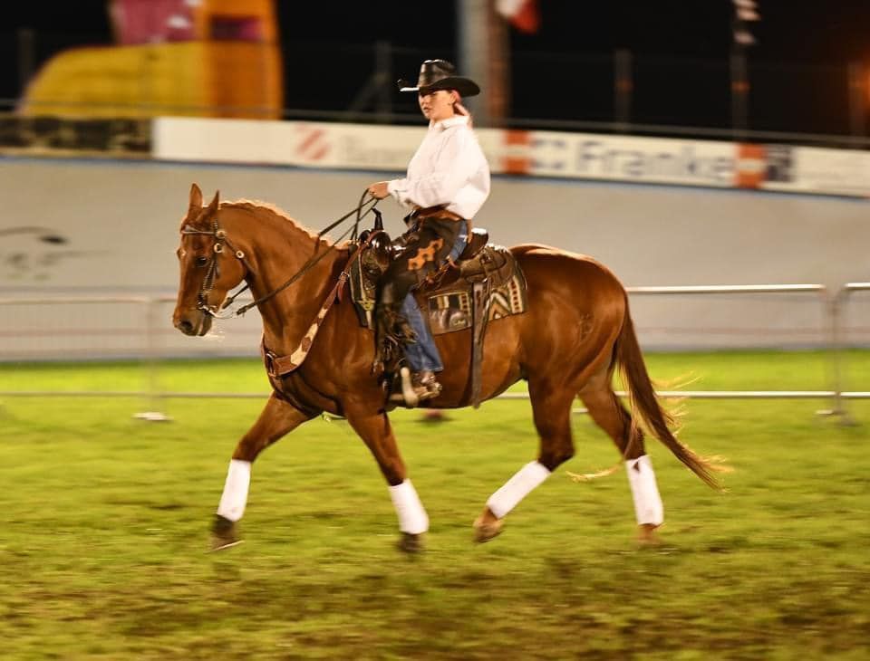 gara di equitazione