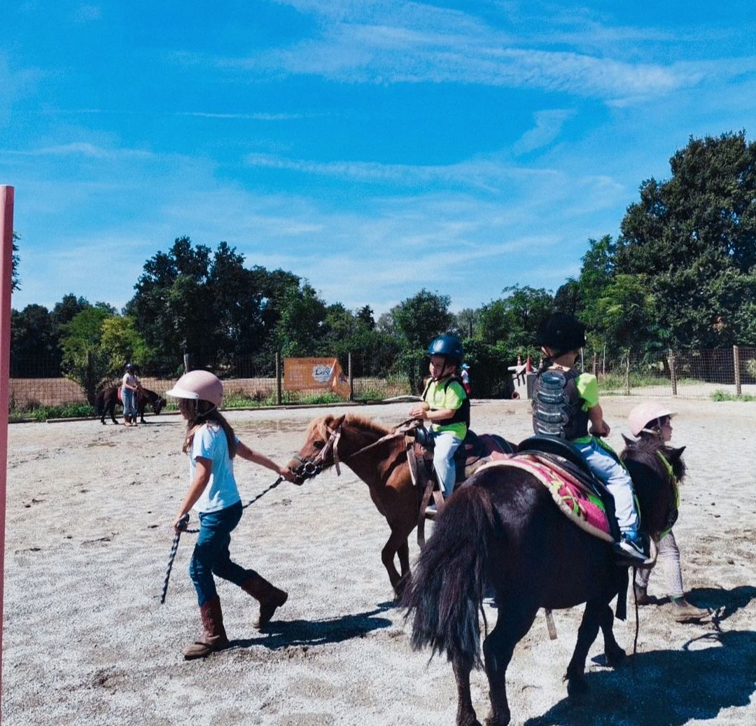 avvicinamento pony