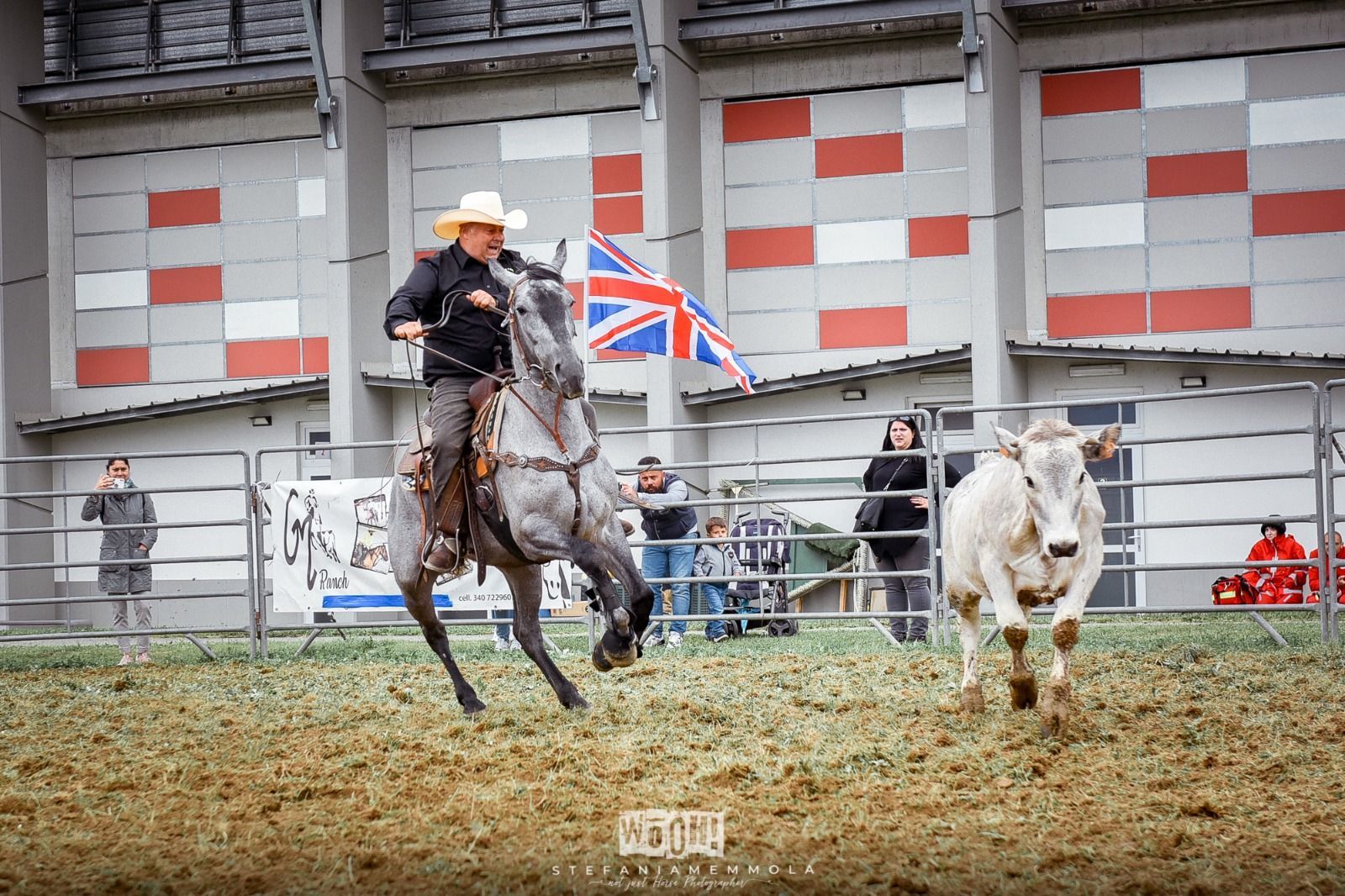 equitazione