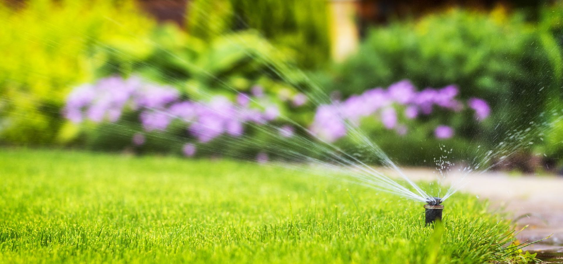 Impianti di irrigazione installazione e progettazione Lugano Vassalli & Bronner