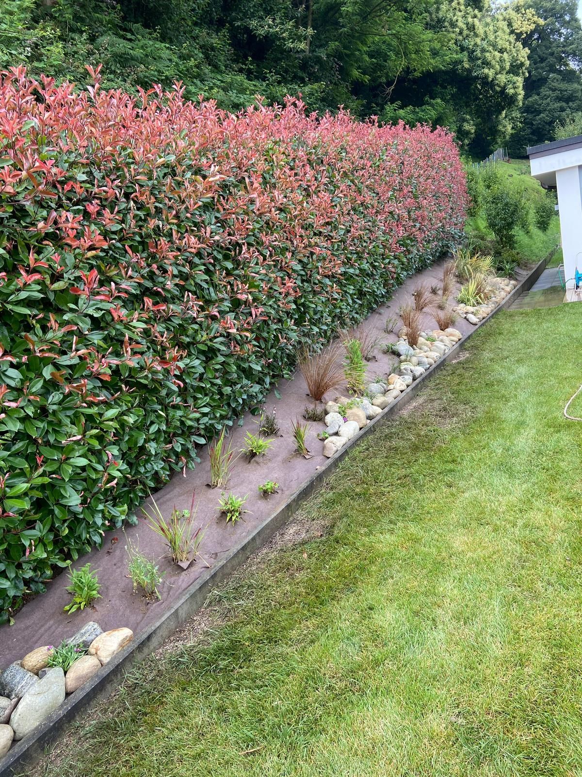 creazione giardini Vassalli & Bronner Lugano Bosco Luganese