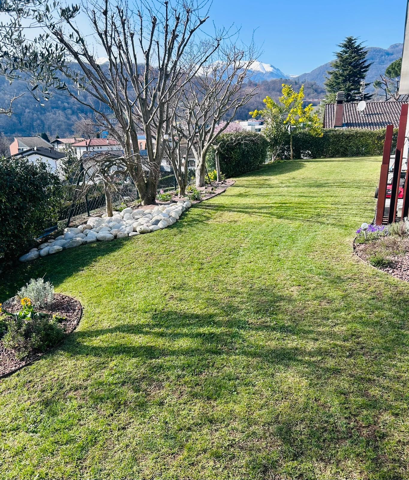 Come Preparare il Giardino all'Inverno a Lugano: La Guida Completa Lugano, , Bioggio e Bedano