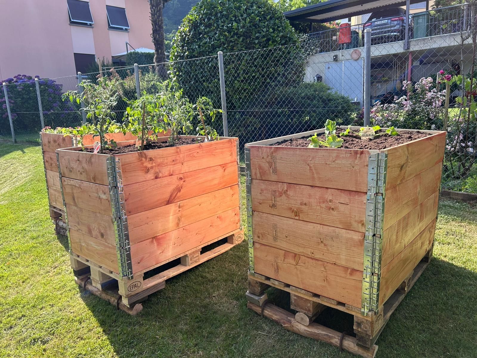 creazione orti fioriere in legno Vassalli & Bronner Lugano Bosco Luganese