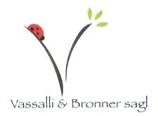 Logo Vassalli & Bronner Lugano