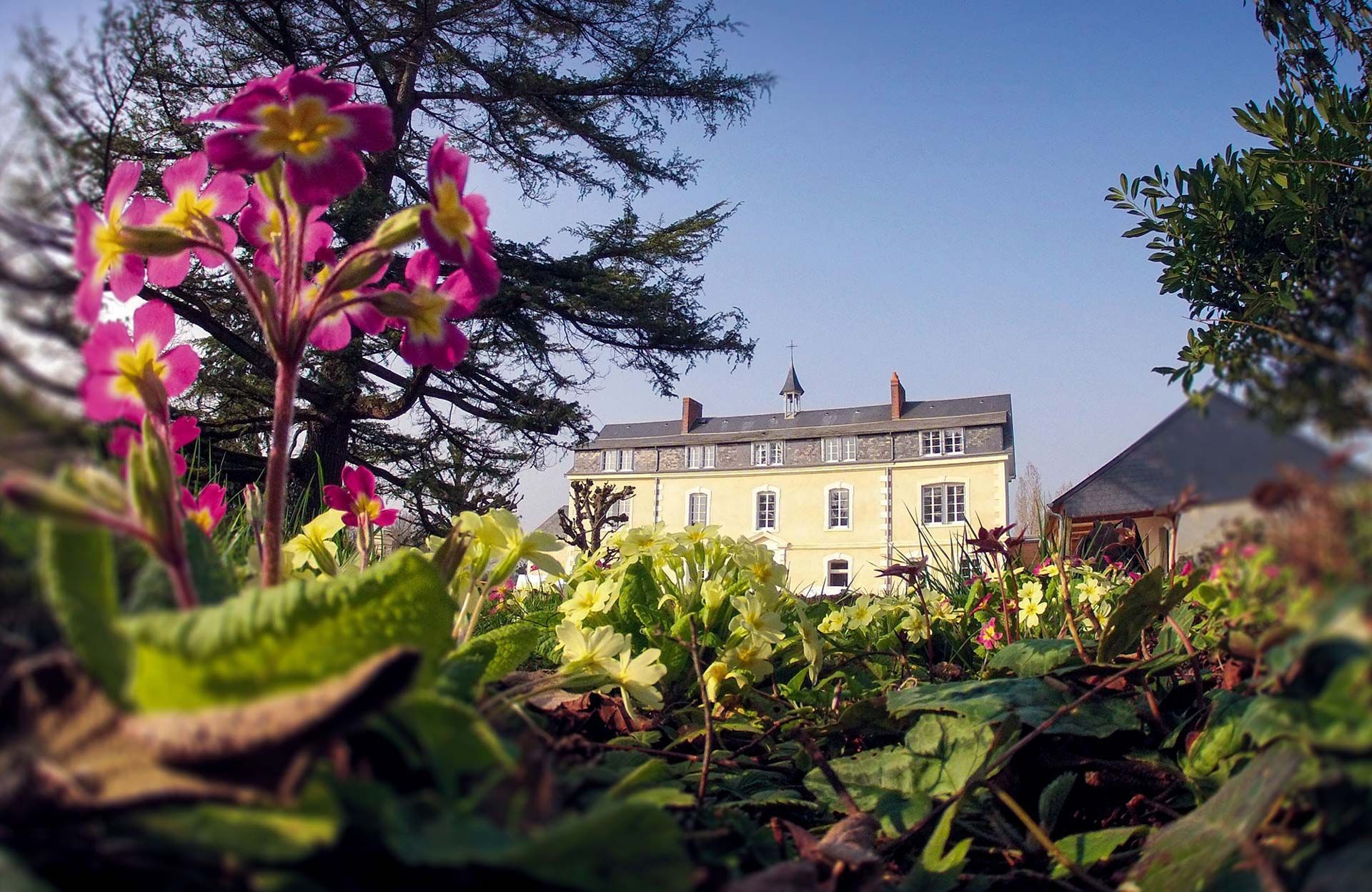 Hôtel Le Haut des Lys - nature