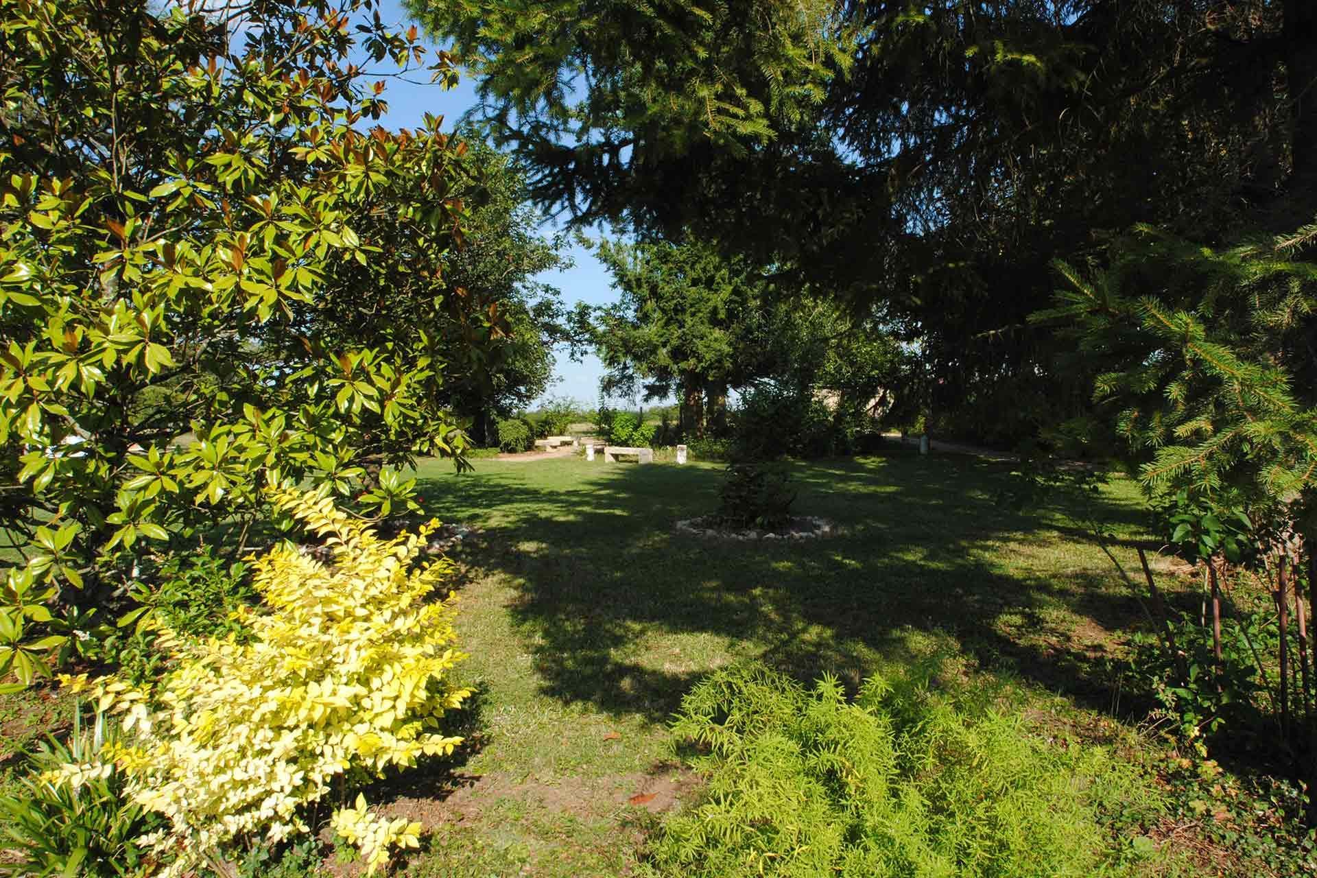 Hôtel Le Haut des Lys - le jardin