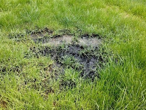 Failing Drainage: What You Need to Know
