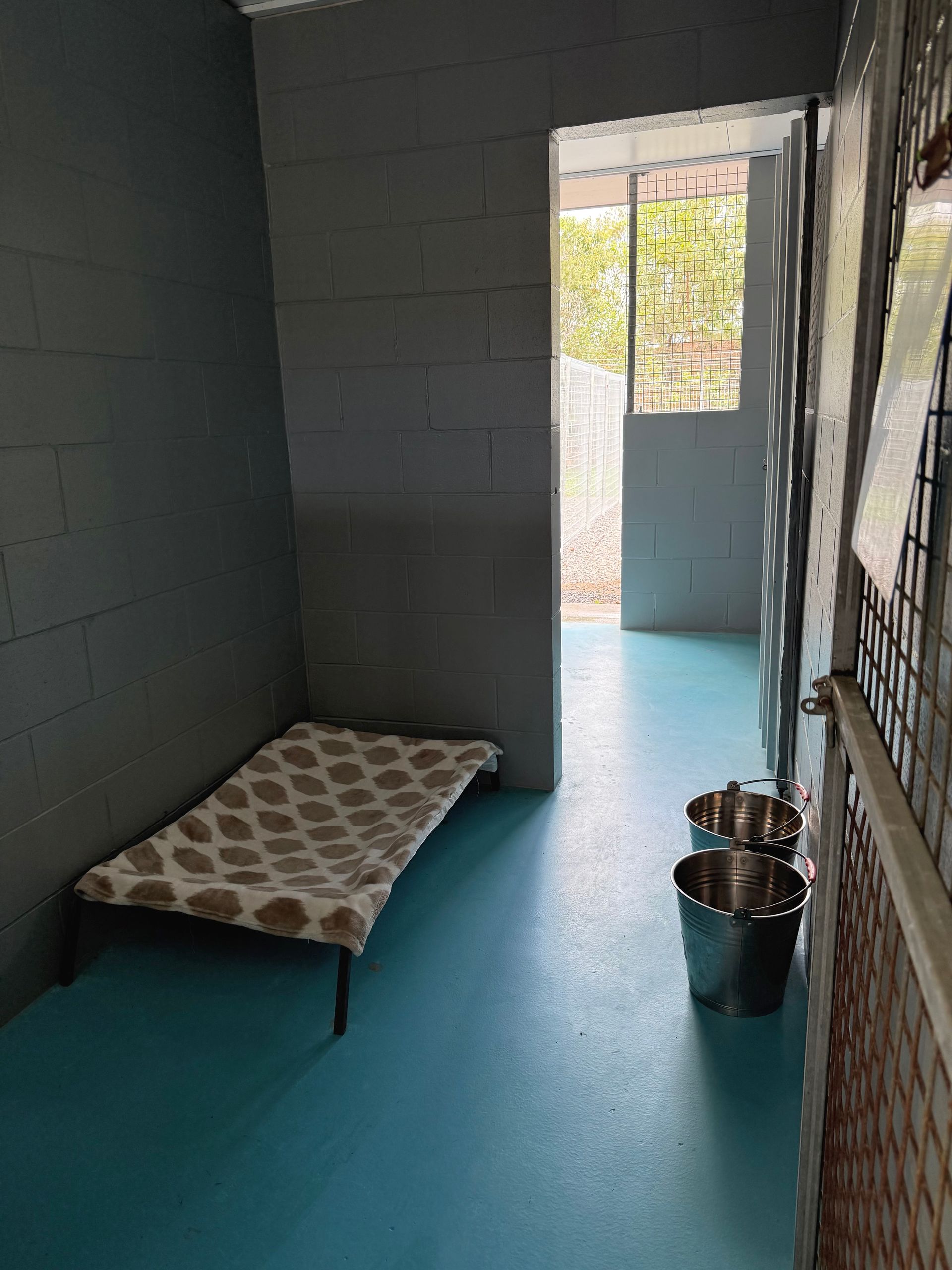 Holiday Dog Room — Isis Pet Resort in Goodwood, QLD