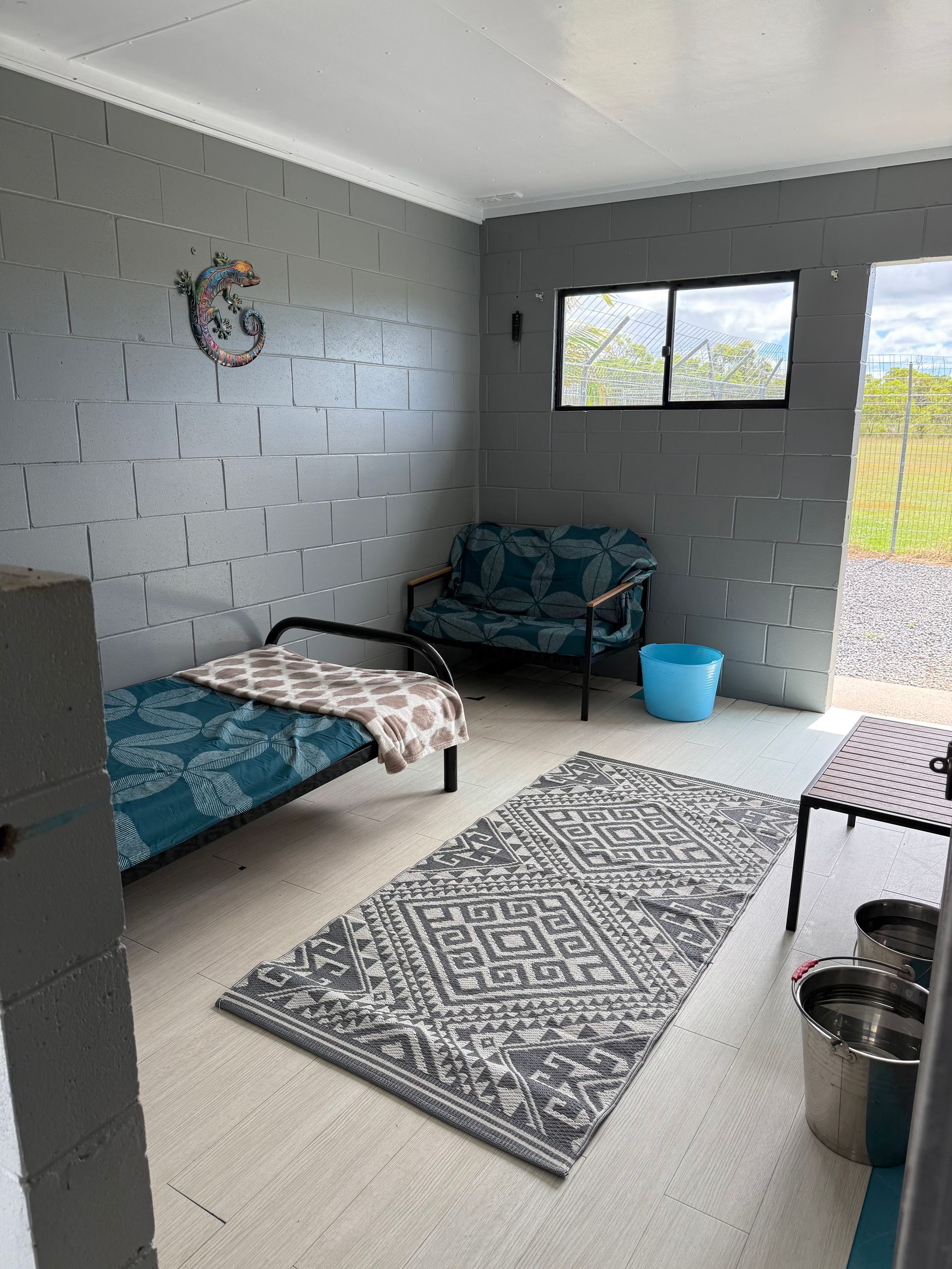 Luxury Dog Room — Isis Pet Resort in Goodwood, QLD