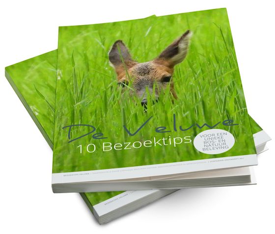 De Veluwe. 10x Bezoektips voor een unieke bos- en natuurbeleving rond Ermelo, Putten, Drie, Staverden en Harderwijk