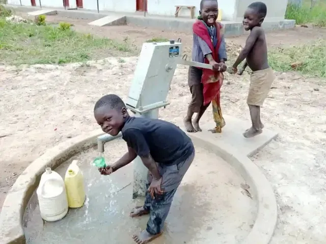 Woman pumping water from a well, filling yellow containers. Chickens and ducks nearby. Fence and green field in background.
