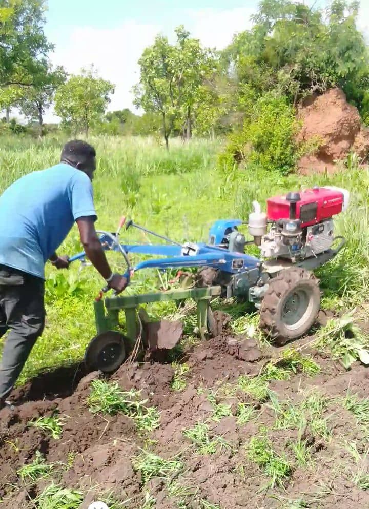 A man is plowing a field with a small tractor.
