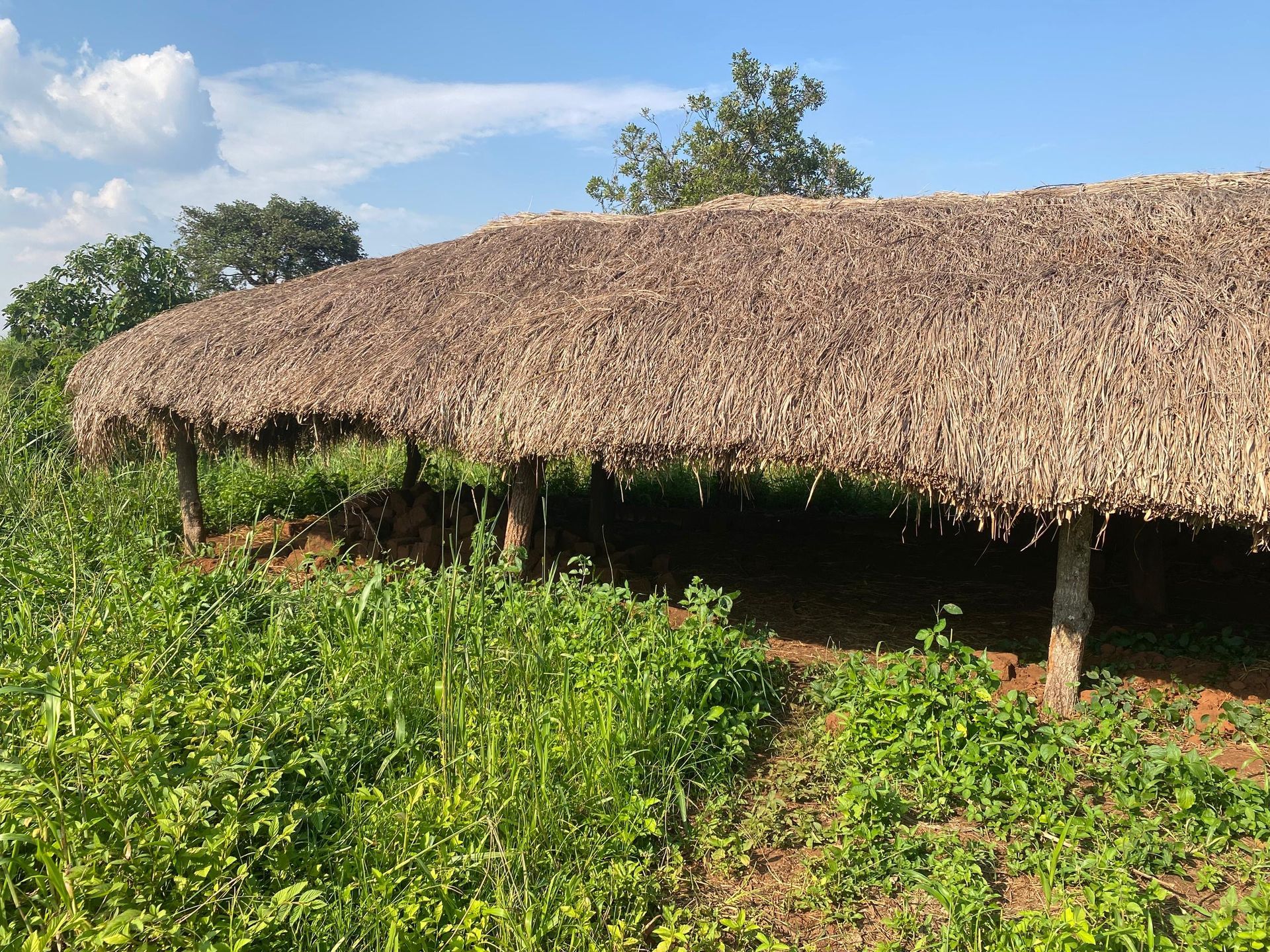 Orua Community Nursery and Primary School — an existing thatched-roof classroom structure on the campus, June 2026.