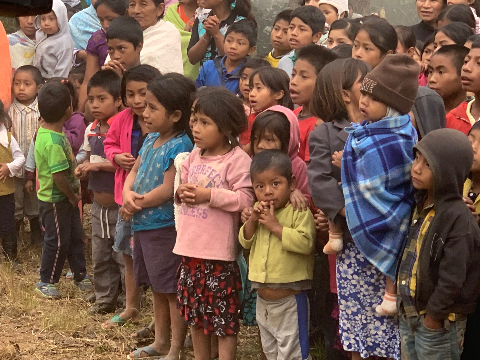 A large group of children are standing in a field