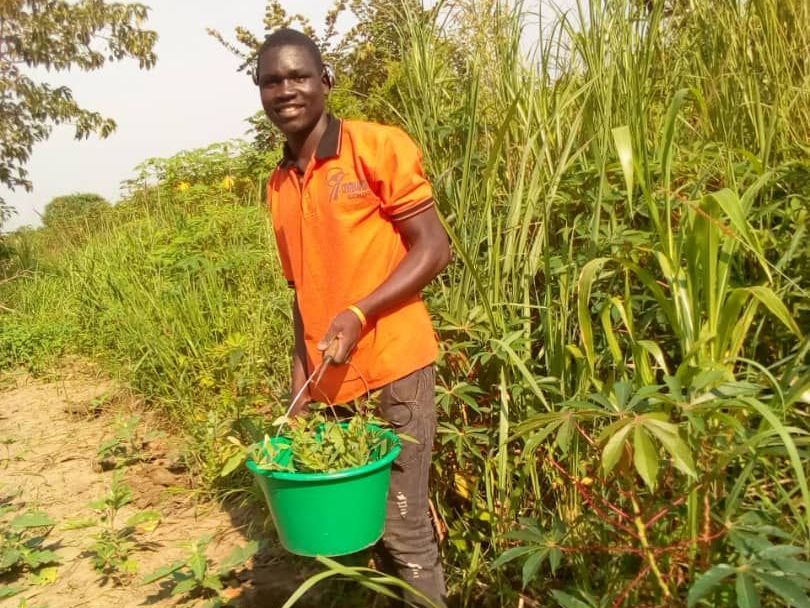 A man in an orange shirt is holding a green bucket in a field.